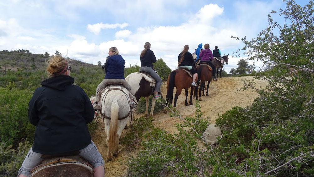 A group of six people rides horses along a hillside trail under a cloudy sky.